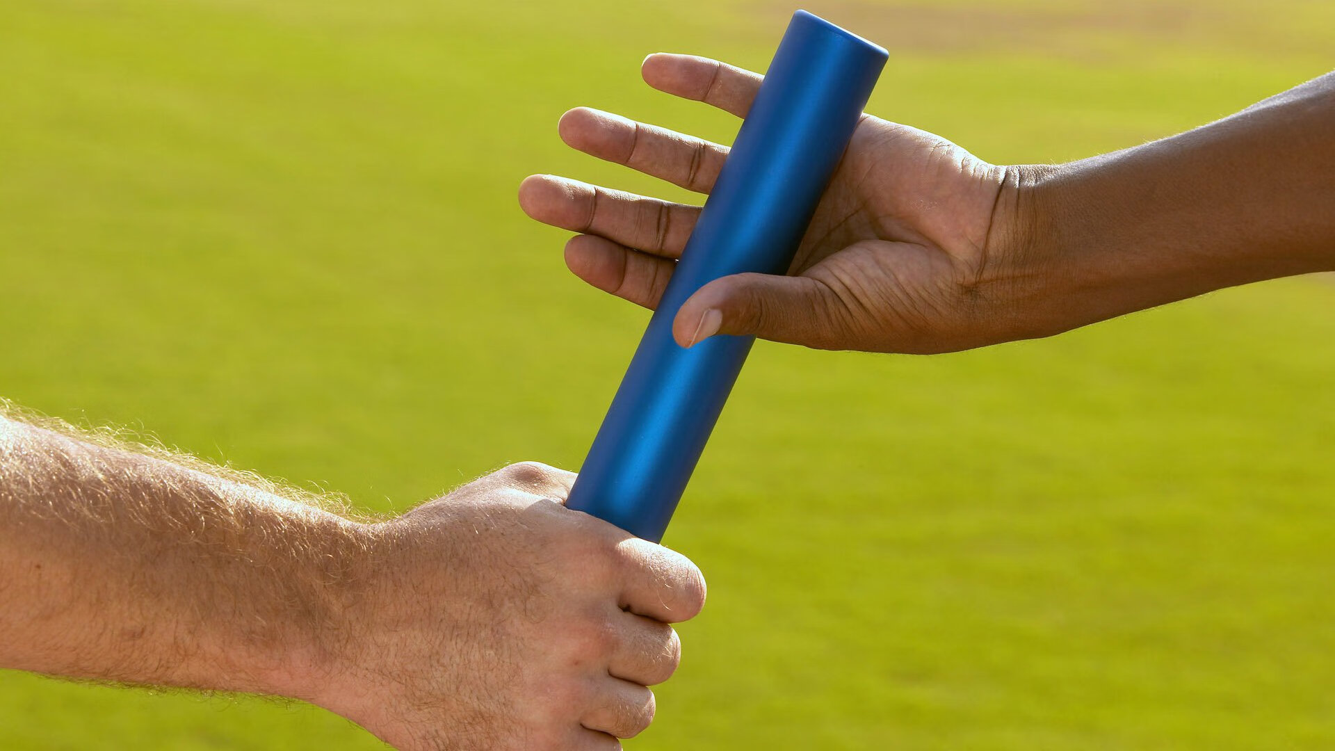 _世界环游游泳挑战赛：跨越五大洲的极限奔赴_，2021世界游泳比赛